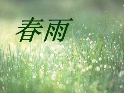 一场春雨 初中生春雨作文900字