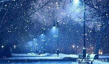 小学生作文下雪了，雪的作文，冬天的雪，雪景作文