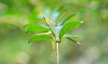 教师点评作文｜我用坚毅度青春