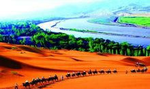 宁夏之旅叙事作文