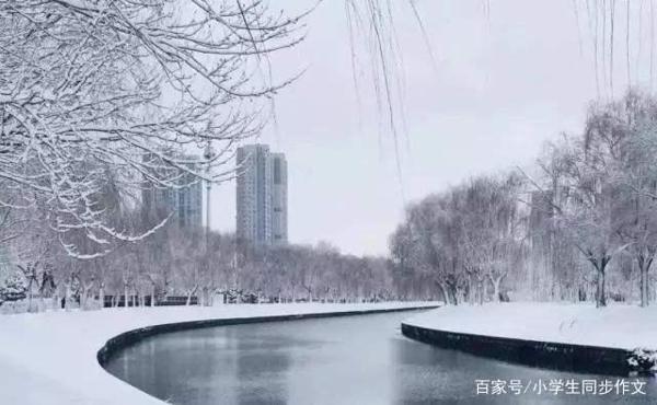 小学生作文下雪了,雪的作文,冬天的雪,雪景作文 1