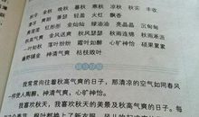 好词好句好段摘抄