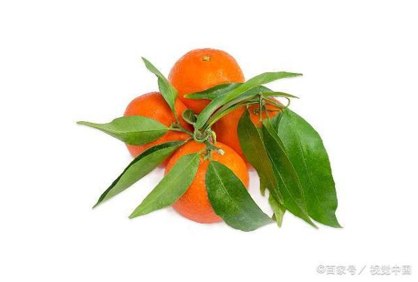 教师点评作文|我用坚毅度青春 2