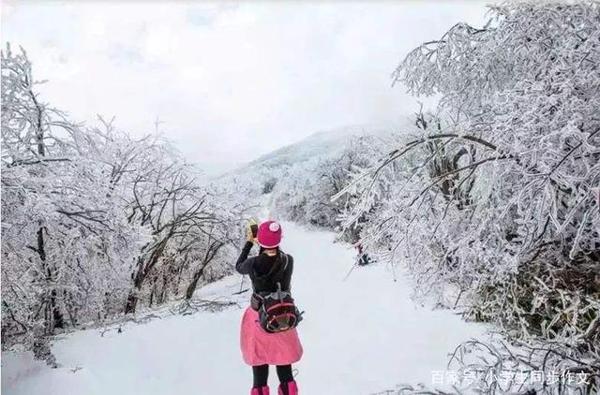 小学生作文下雪了,雪的作文,冬天的雪,雪景作文 2