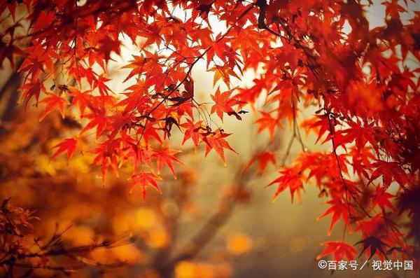 教师点评作文|我用坚毅度青春 5