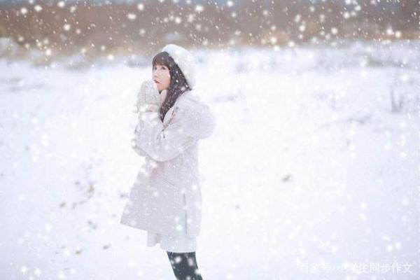 小学生作文下雪了,雪的作文,冬天的雪,雪景作文 5