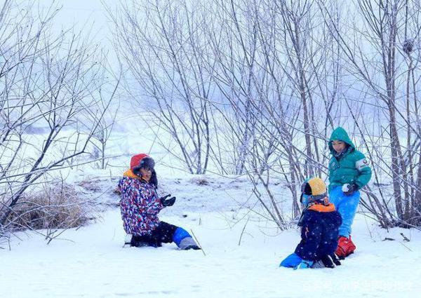 小学生作文下雪了,雪的作文,冬天的雪,雪景作文 6