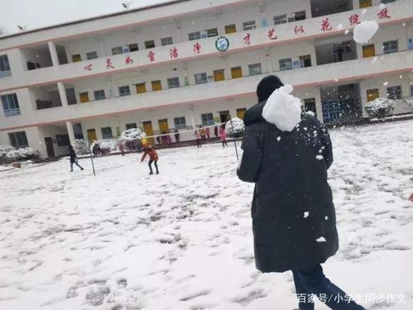 小学生作文下雪了,雪的作文,冬天的雪,雪景作文 7