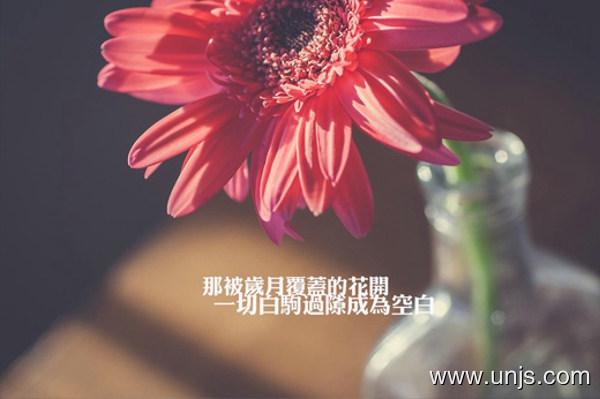 自己心情不好的句子