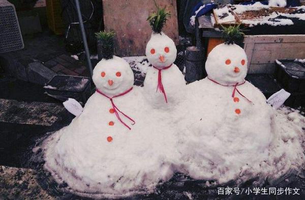 小学生作文下雪了,雪的作文,冬天的雪,雪景作文 8