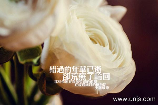 最新的心情不好的句子 1