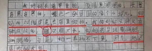 小学生“坑爹”作文走红，家长看的肚疼，老师却5个字霸气回应 1