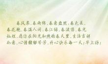 校园春色 春意盎然的校园400字作文