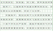 学笛子 初中生周记300字