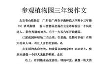 参观植物园 三年级植物园作文400字
