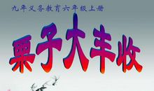 “大丰收”五年级运动会作文800字