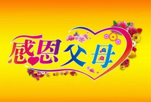 感恩父母的作文550字