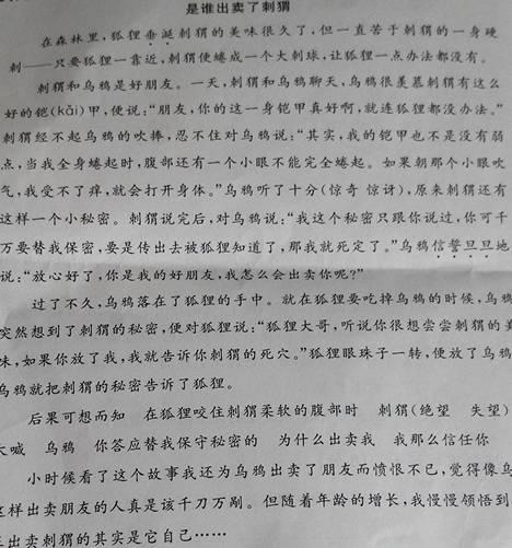 是谁出卖了刺猬 优秀故事作文300字
