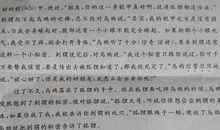 是谁出卖了刺猬 优秀故事作文300字