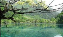 初一作文：心田上的风景