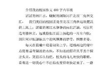 我的学校 介绍我的学校作文300字