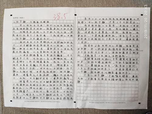 雅礼中学意外“停电”的时候材料作文和叶嘉莹话的思考作文