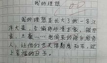 我的理想 初中生我的理想作文500字
