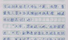 见到明星 让我激动的一件事400字作文