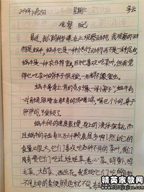 恢复 高中生日记1200字