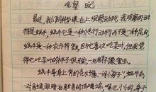 恢复 高中生日记1200字