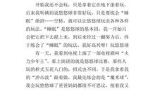 玩悠悠球 有趣的悠悠球作文300字