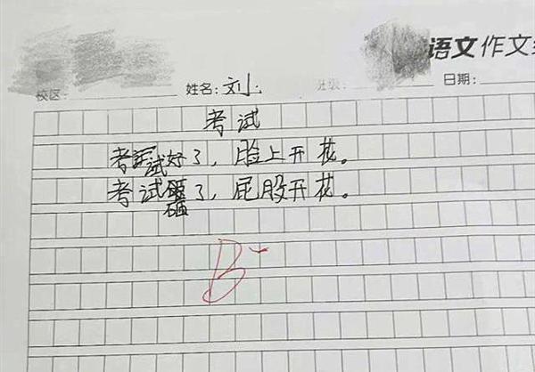 小学生“奇葩作文”火了,让人哭笑不得,网友:三天没被打过了? 4