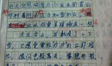 乡村灯日初中作文300字