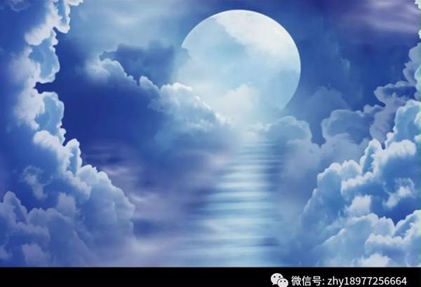 【2019优秀作文】月亮（陈庆茂）
