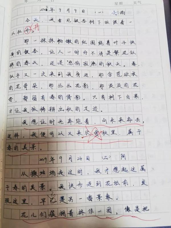 作文起步｜观察日记《秋天里的“春”》 1