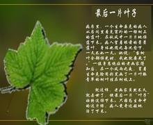 为生命画一片绿叶 《最后一片叶子》读后感300字