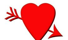 父母爱情 高三作文800字作文