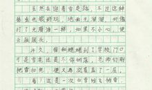 五班，因为有你们 我爱我班作文1000字