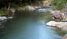 家乡门前的那条小溪 六年级门前的小溪作文400字