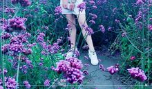 【阅读经典】宾川城中209班张天月：《朝花夕拾》读后感