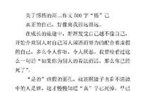 杖 高二作文900字