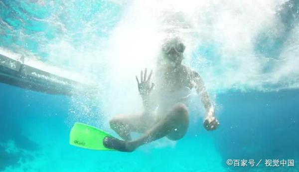 追梦作文700字：寻梦