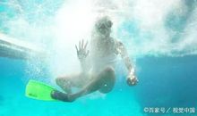 追梦作文700字：寻梦