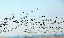 中学生写作文就是在默默地培育自己的世界观