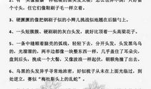 小学语文：100个描写外貌的佳句尽收囊中，满分作文少不了要用！