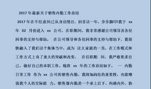 销售内勤个人年终工作总结范文