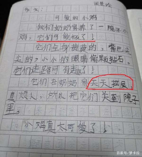 小学生作文里的神逻辑,看完开头,猜不到结局! 3