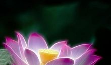 打造充满灵性的班级的论文