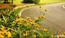 初一作文：以发现为话题