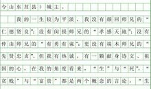 人物小传之王狄 初中生写人作文400字